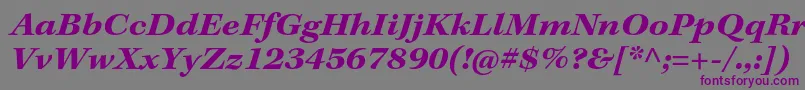 KeplerstdBoldextit Font – Purple Fonts on Gray Background