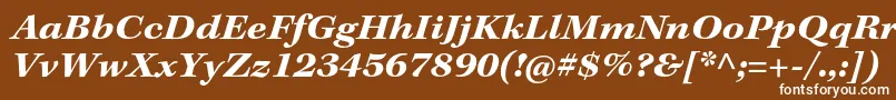 KeplerstdBoldextit Font – White Fonts on Brown Background
