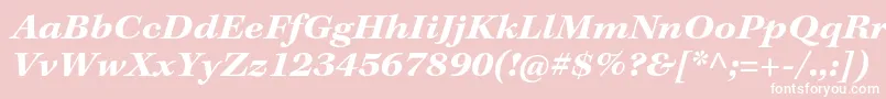 KeplerstdBoldextit Font – White Fonts on Pink Background