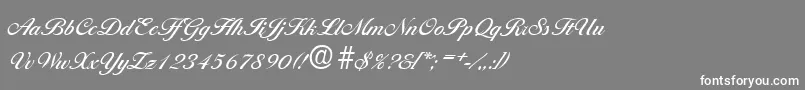 フォントBallantinesMedium – 灰色の背景に白い文字