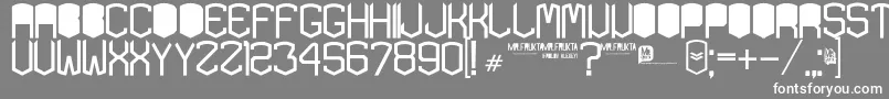 KardonBlack Font – White Fonts on Gray Background