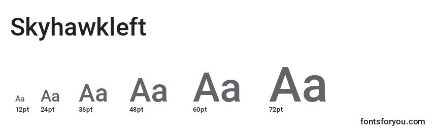 Skyhawkleft Font Sizes