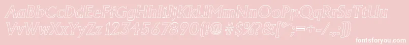 AdelonoutlineMediumItalic Font – White Fonts on Pink Background