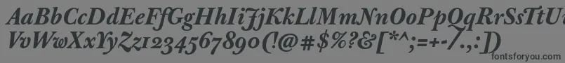 Шрифт JbaskervilletextBolditalic – чёрные шрифты на сером фоне