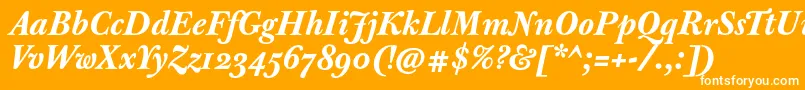 JbaskervilletextBolditalic-Schriftart – Weiße Schriften auf orangefarbenem Hintergrund