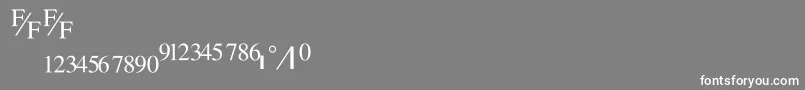 フォントTmsfractionNormal – 灰色の背景に白い文字
