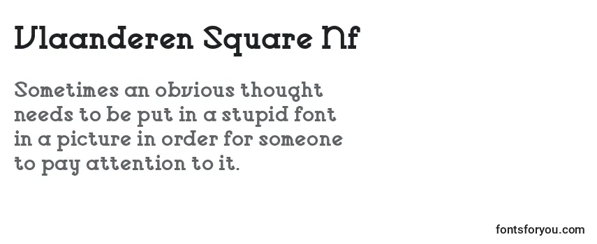 Шрифт Vlaanderen Square Nf