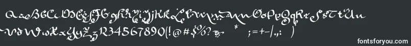 フォントKarabennemsi – 白い文字