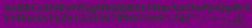 Czcionka OptimaLtExtraBlackItalic – czarne czcionki na fioletowym tle