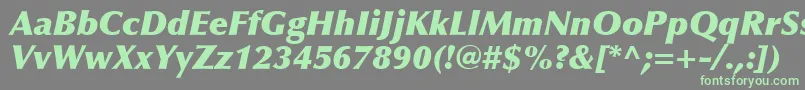 OptimaLtExtraBlackItalic Font – Green Fonts on Gray Background