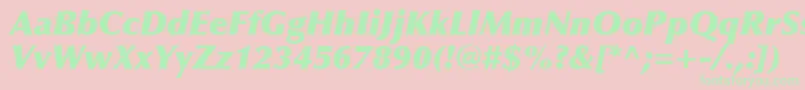 OptimaLtExtraBlackItalic Font – Green Fonts on Pink Background