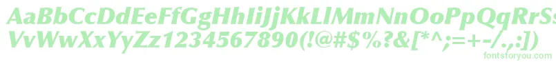 Czcionka OptimaLtExtraBlackItalic – zielone czcionki