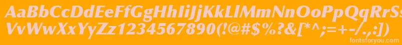 OptimaLtExtraBlackItalic Font – Pink Fonts on Orange Background
