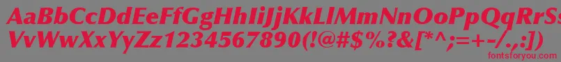 フォントOptimaLtExtraBlackItalic – 赤い文字の灰色の背景