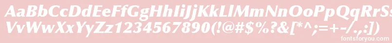 OptimaLtExtraBlackItalic-Schriftart – Weiße Schriften auf rosa Hintergrund