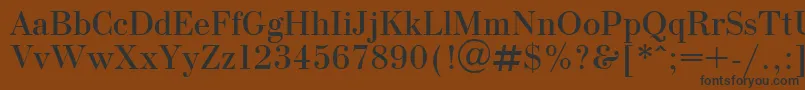 OlgaPlain.001.001 Font – Black Fonts on Brown Background