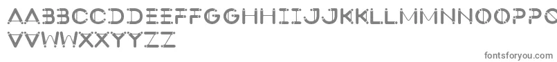 フォントSlingshotType – 白い背景に灰色の文字