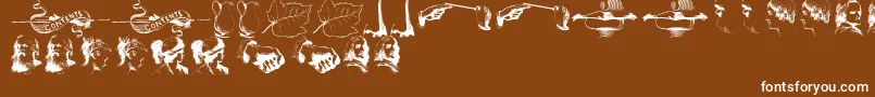 IllustrationsTfb Font – White Fonts on Brown Background