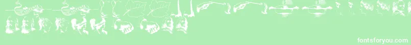 IllustrationsTfb Font – White Fonts on Green Background