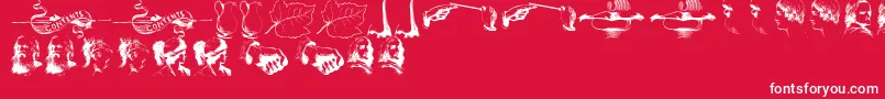 IllustrationsTfb Font – White Fonts on Red Background