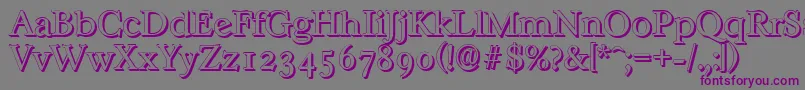 CasablancashadowLightRegular Font – Purple Fonts on Gray Background