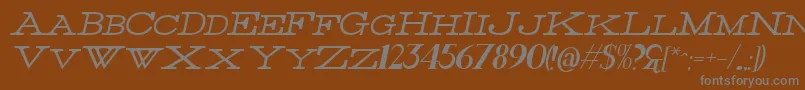 フォントThinItalic – 茶色の背景に灰色の文字