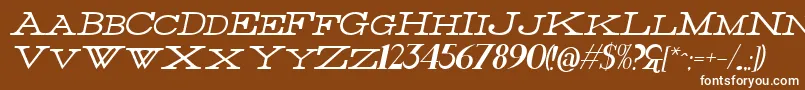 フォントThinItalic – 茶色の背景に白い文字