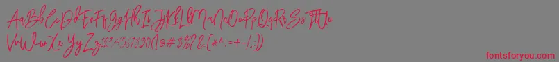 Шрифт BloomyScriptFree – красные шрифты на сером фоне