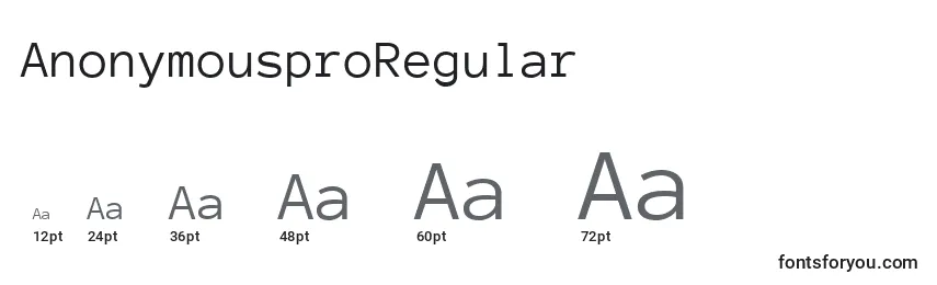 Размеры шрифта AnonymousproRegular