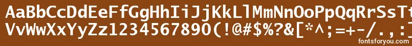 Шрифт LucidasanstypewriterstdBd – белые шрифты на коричневом фоне