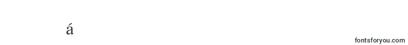 LifeLtRoman Font – Burmese Fonts
