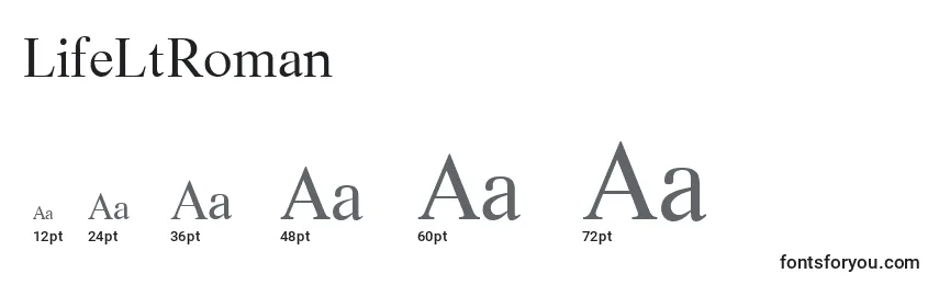 LifeLtRoman Font Sizes