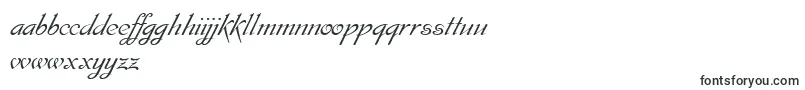 Шрифт EsperanzaTM – африкаанс шрифты