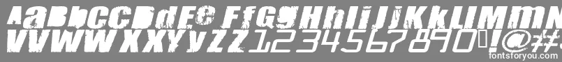 Meant Font – White Fonts on Gray Background