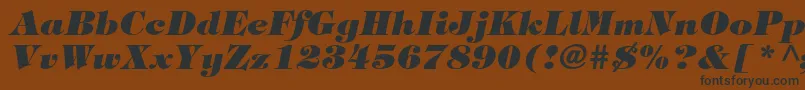 TiffanystdHeavyitalic-Schriftart – Schwarze Schriften auf braunem Hintergrund