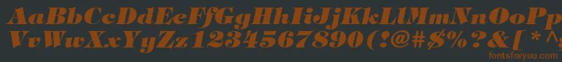 TiffanystdHeavyitalic Font – Brown Fonts on Black Background