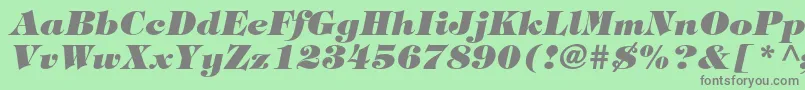 Fonte TiffanystdHeavyitalic – fontes cinzas em um fundo verde