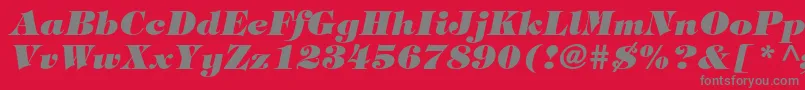 Czcionka TiffanystdHeavyitalic – szare czcionki na czerwonym tle