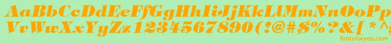 TiffanystdHeavyitalic Font – Orange Fonts on Green Background