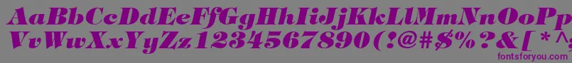 TiffanystdHeavyitalic Font – Purple Fonts on Gray Background