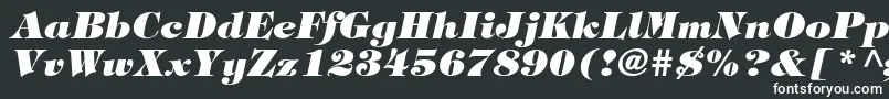 TiffanystdHeavyitalic Font – White Fonts