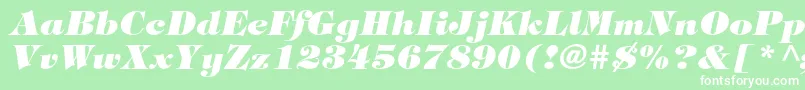 フォントTiffanystdHeavyitalic – 緑の背景に白い文字