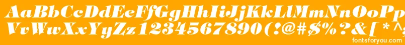 TiffanystdHeavyitalic Font – White Fonts on Orange Background