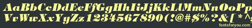 TiffanystdHeavyitalic Font – Yellow Fonts on Black Background