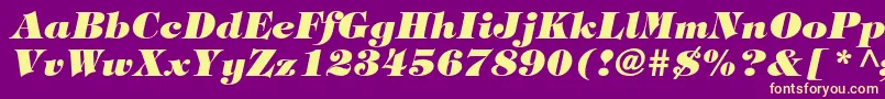 TiffanystdHeavyitalic-fontti – keltaiset fontit violetilla taustalla