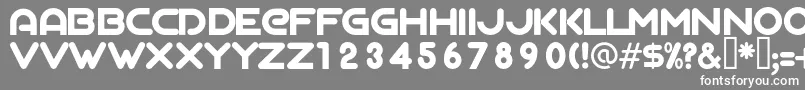AgalegaRegular Font – White Fonts on Gray Background
