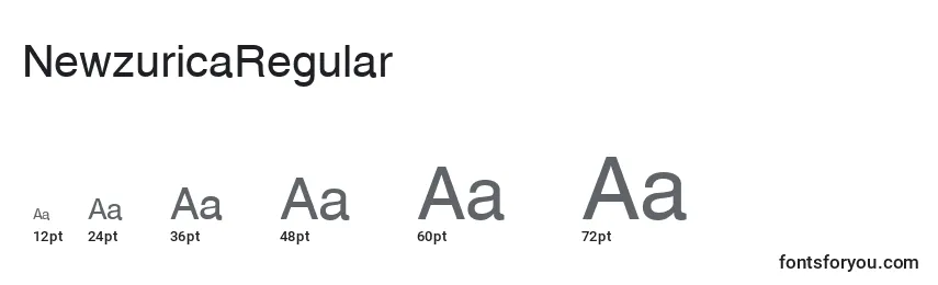 Размеры шрифта NewzuricaRegular