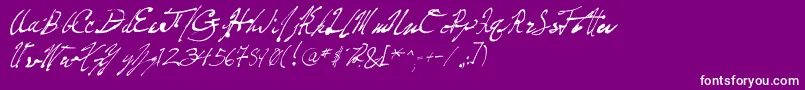 FountainPenFrenzy Font – White Fonts on Purple Background