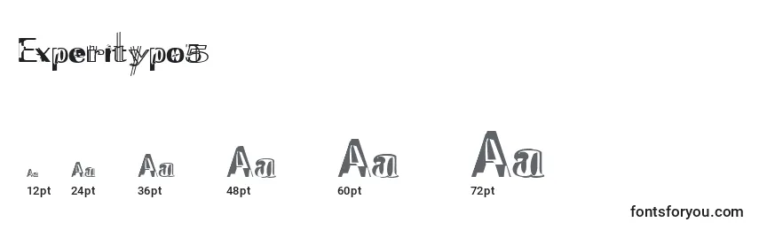 Experitypo5 Font Sizes