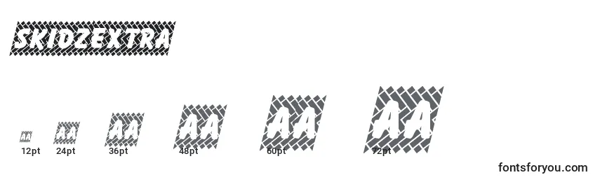 Skidzextra Font Sizes